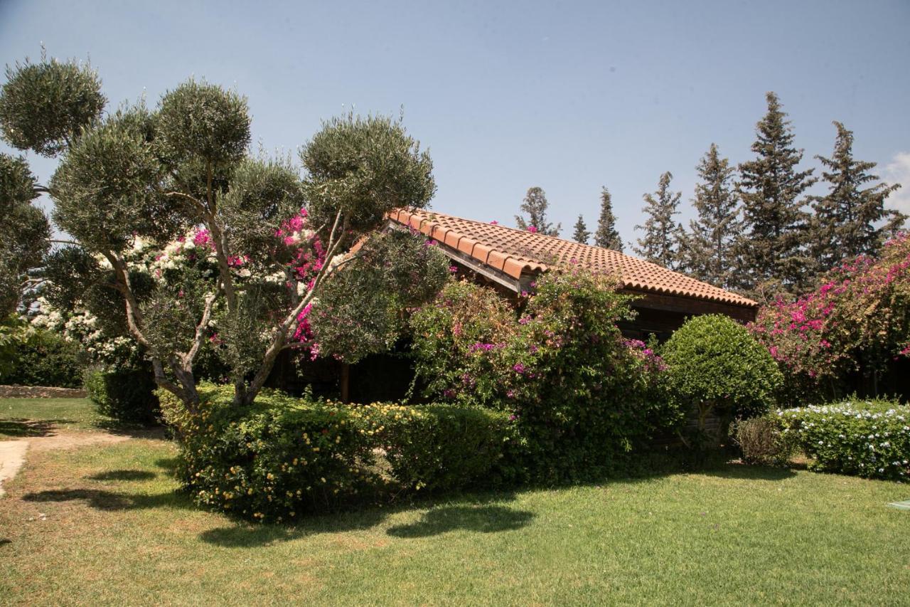 Dar Zitouna Sousse-Tunisie Exterior foto