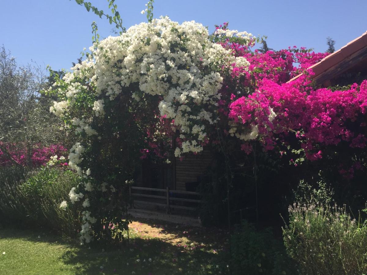 Dar Zitouna Sousse-Tunisie Exterior foto